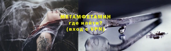 прущие грибы Кукмор