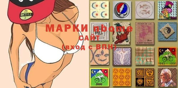 прущие грибы Кукмор