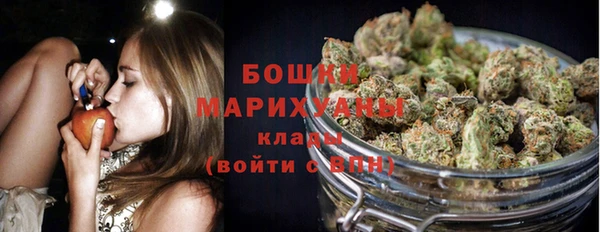 прущие грибы Кукмор