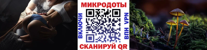купить наркотики цена  Петухово  Псилоцибиновые грибы мицелий 